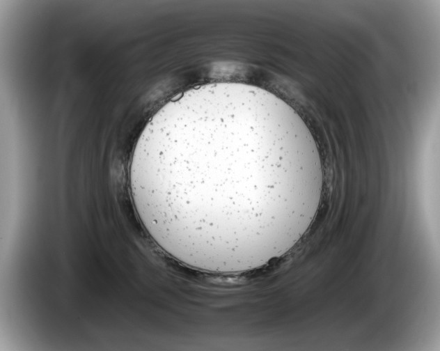 X0000086230375200703290949