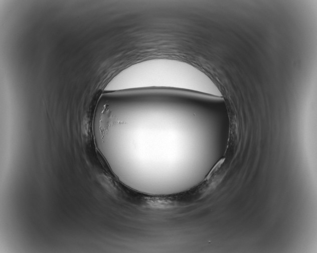 X0000086230380200703290949