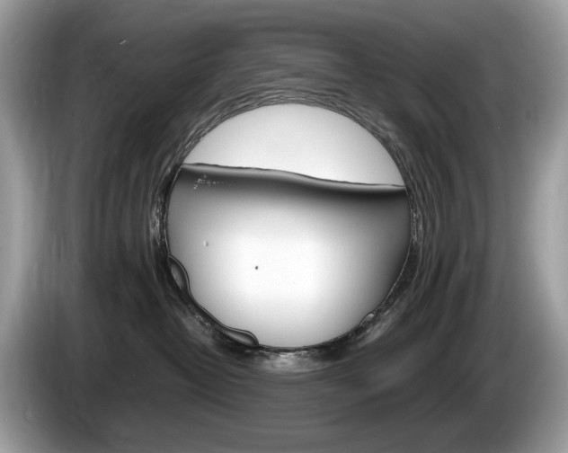 X0000086230382200703290949