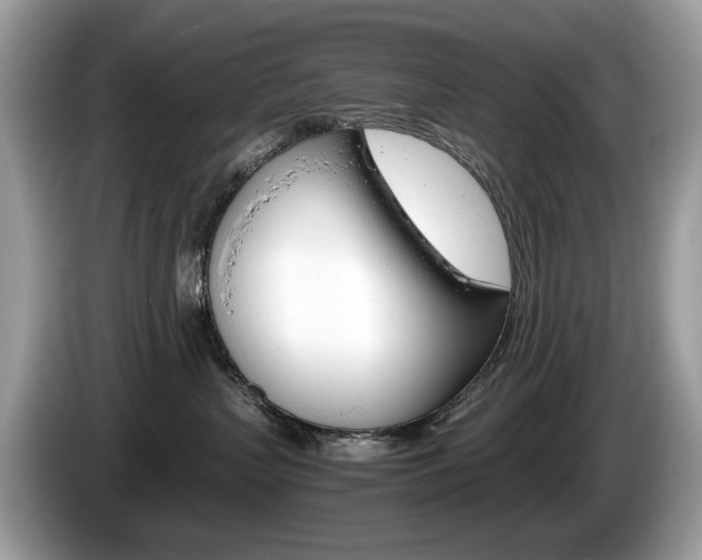 X0000086230383200703290949