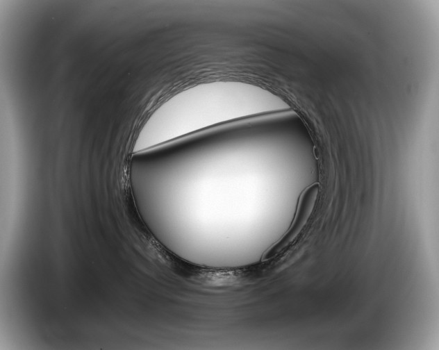 X0000086230384200703290949