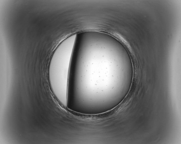 X0000086230385200703290948