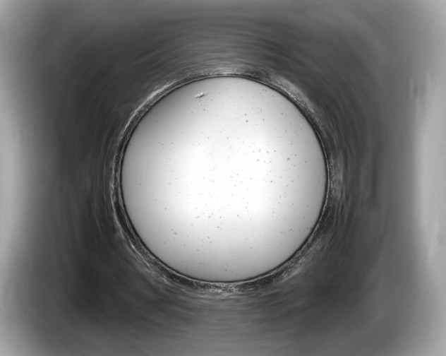 X0000086230386200703290948