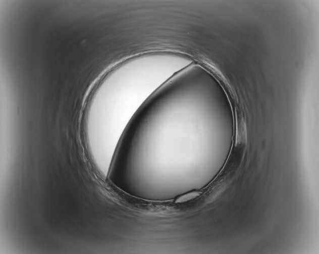 X0000086230387200703290948