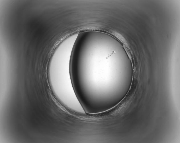 X0000086230389200703290948