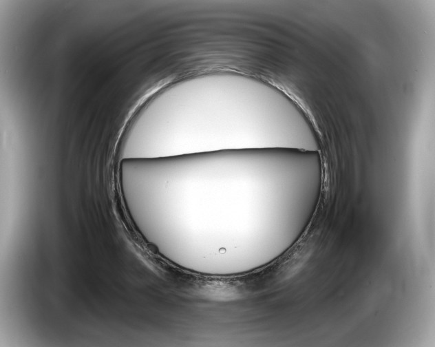 X0000086230390200703290948