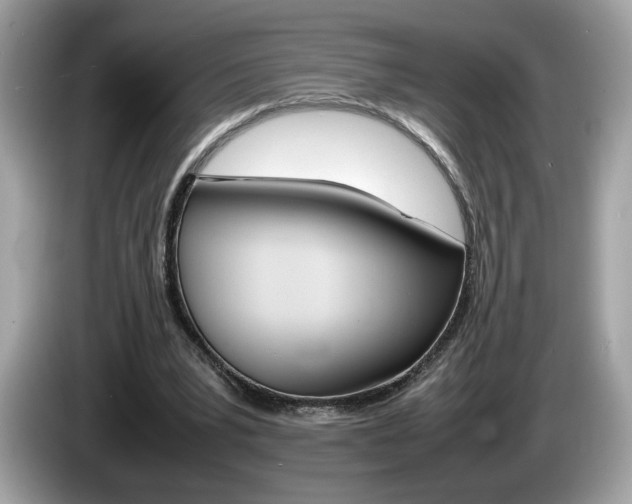 X0000086230391200703290948