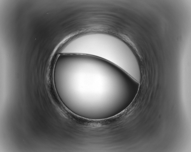X0000086230392200703290948