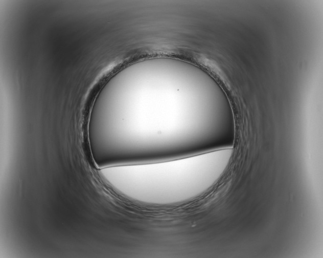X0000086230395200703290948