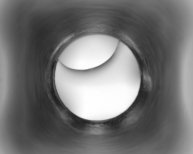 X0000086230396200703290948