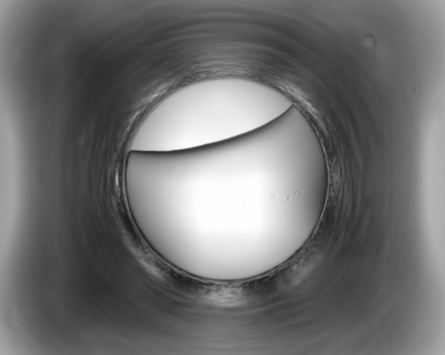 X0000086230398200703290948