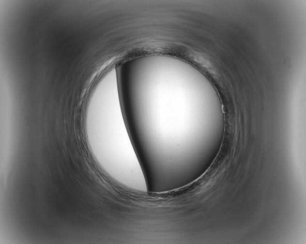 X0000086230399200703290948