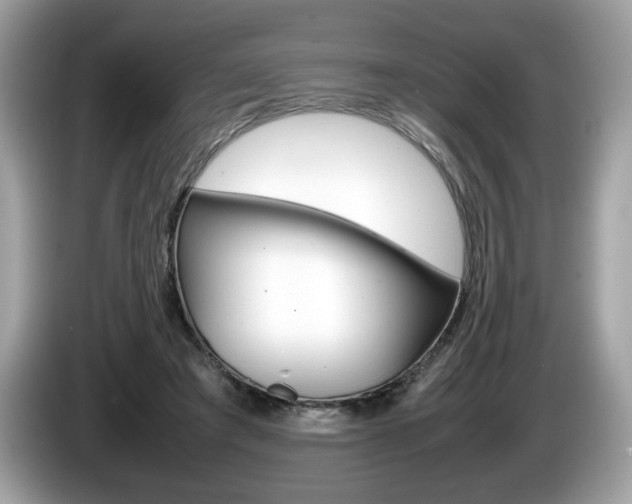 X0000086230401200703290948