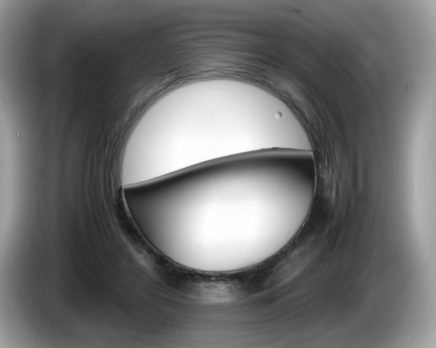 X0000086230404200703290948