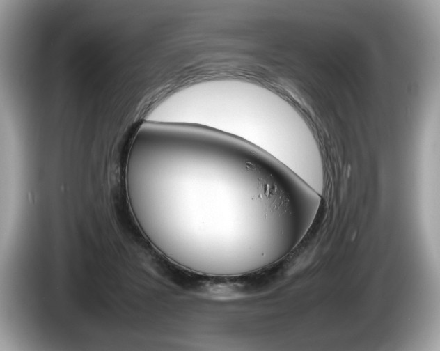 X0000086230407200703290948