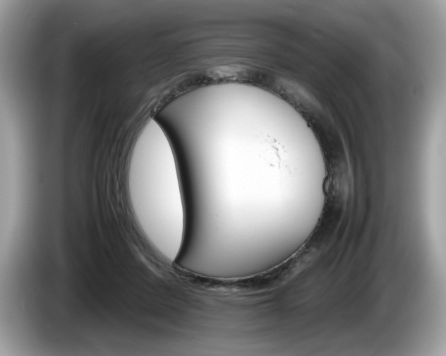X0000086230408200703290948