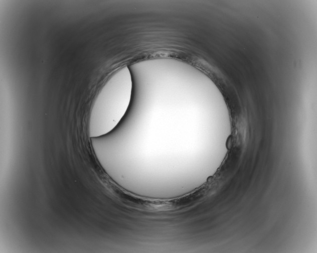 X0000086230410200703290948