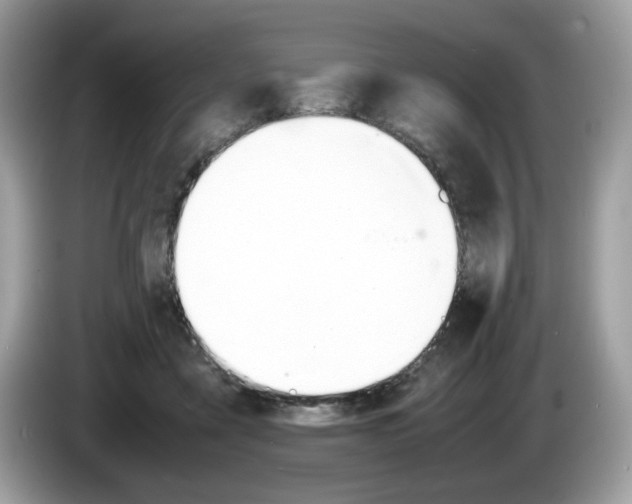 X0000086230411200703290948