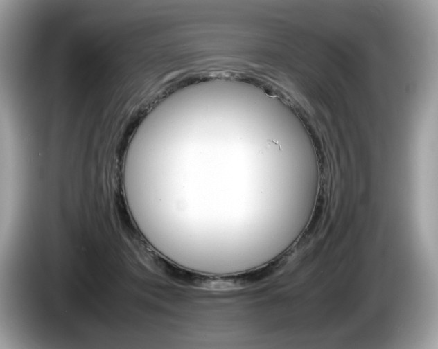 X0000086230413200703290948