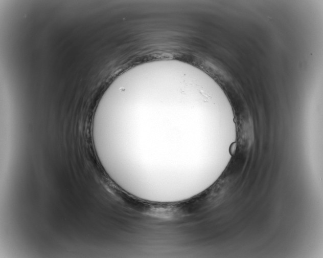 X0000086230414200703290948