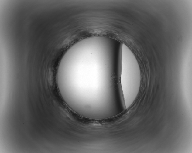 X0000086230416200703290948