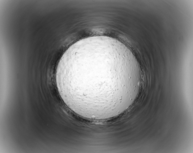X0000086230418200703290948