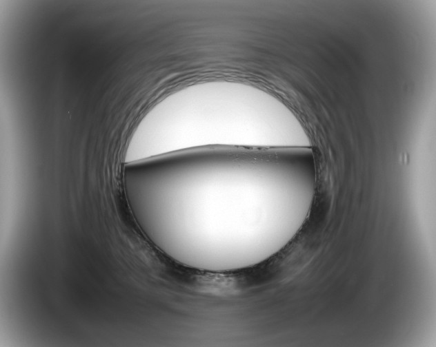 X0000086230421200703290948