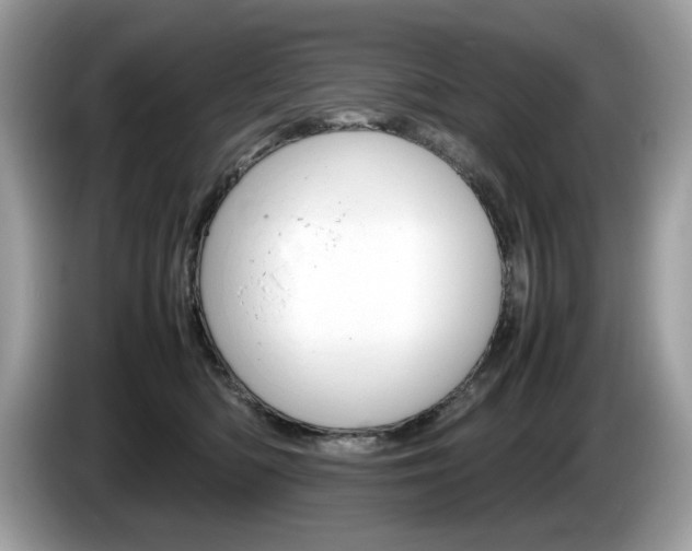 X0000086230422200703290948
