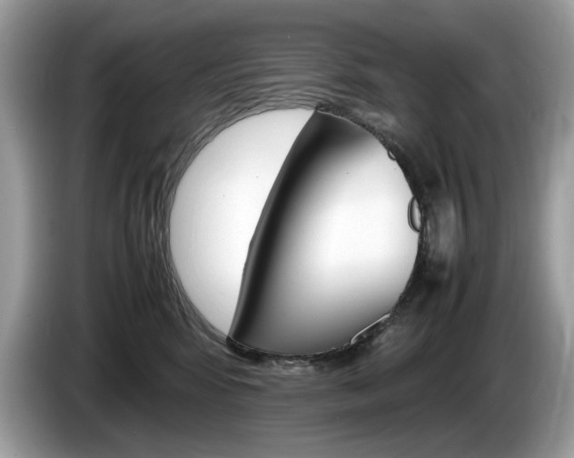X0000086230424200703290948
