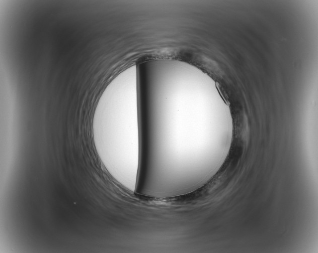 X0000086230425200703290948