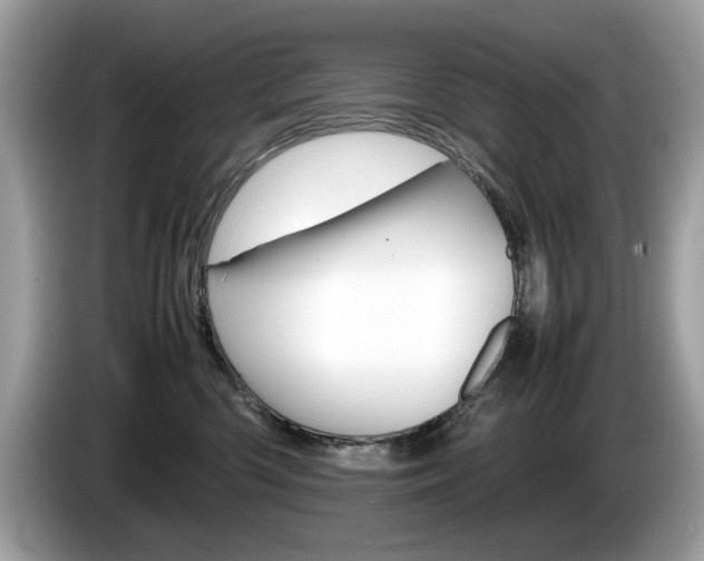 X0000086230426200703290948