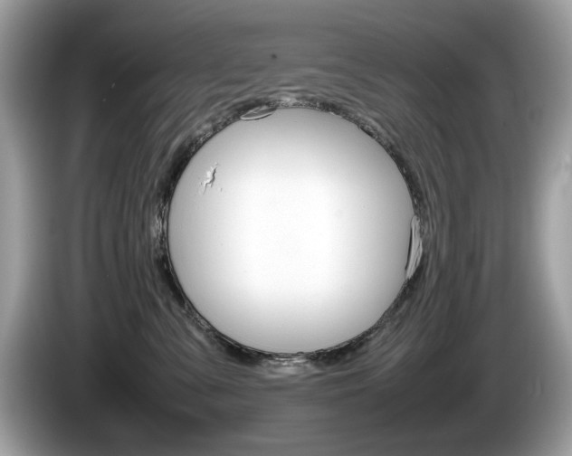 X0000086230427200703290948