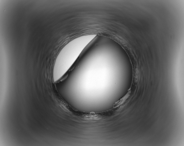 X0000086230428200703290948