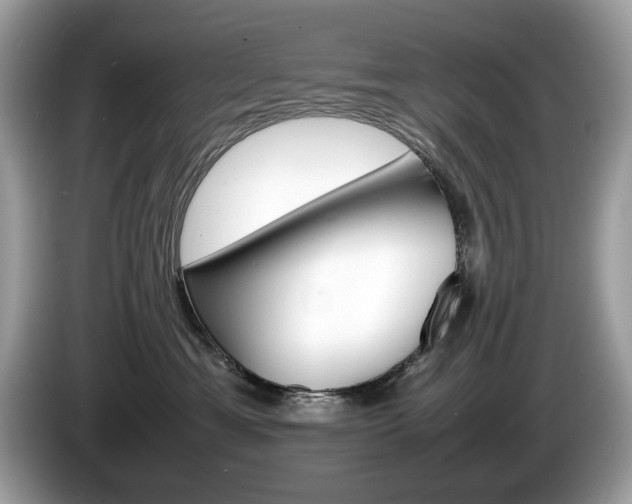 X0000086230429200703290948
