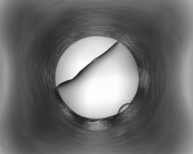 X0000086230430200703290947