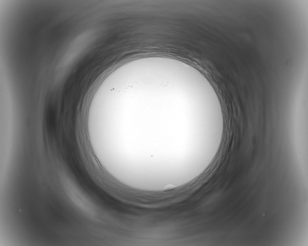 X0000086230431200703290947