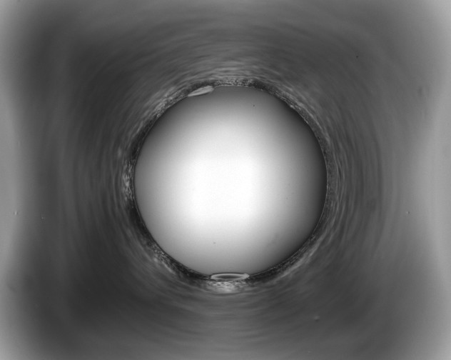 X0000086230432200703290947