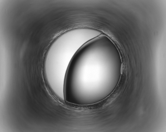 X0000086230434200703290947