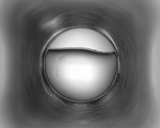 X0000086230435200703290947