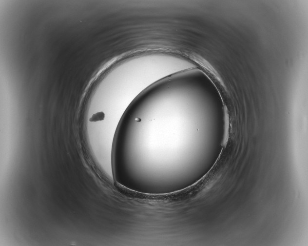 X0000086230436200703290947