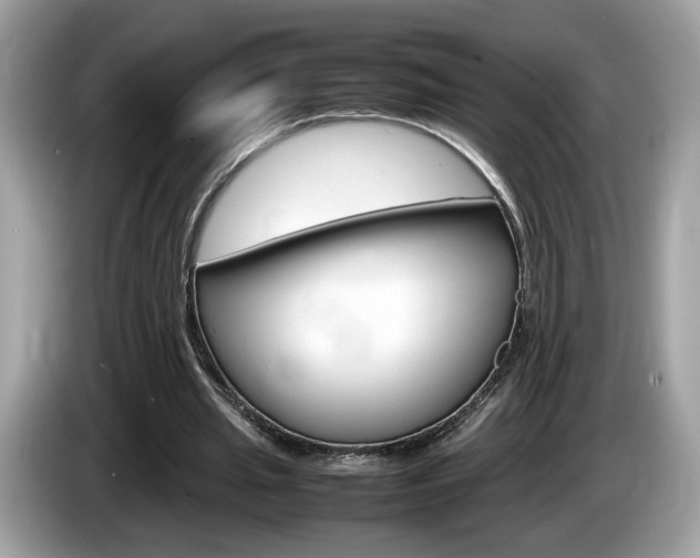 X0000086230437200703290947