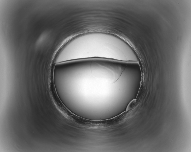 X0000086230438200703290947