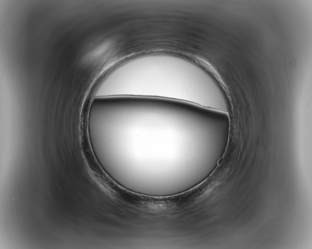 X0000086230439200703290947