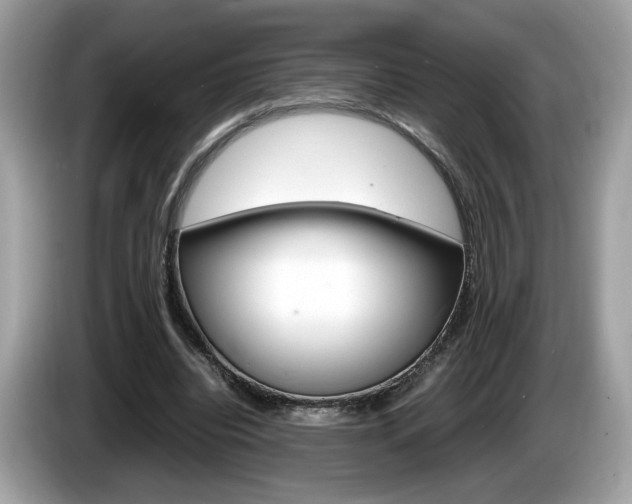 X0000086230440200703290947