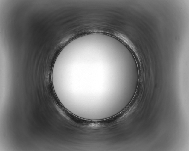 X0000086230441200703290947