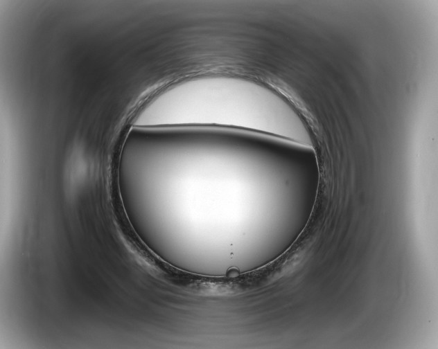 X0000086230442200703290947