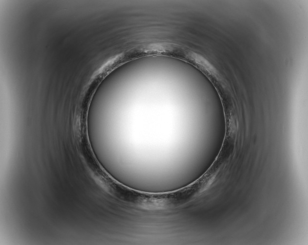 X0000086230444200703290947