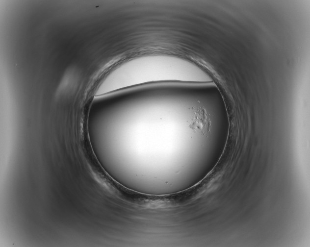 X0000086230446200703290947