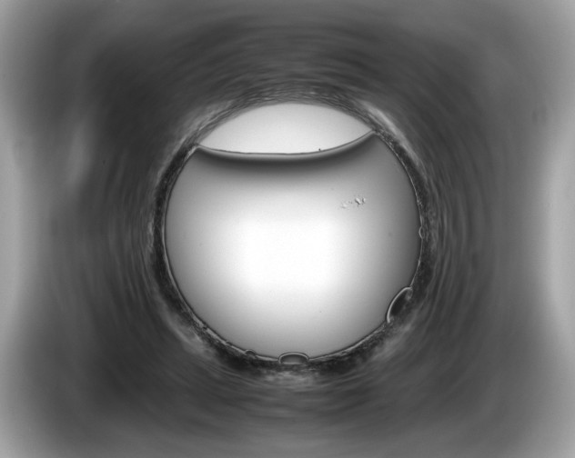 X0000086230447200703290947