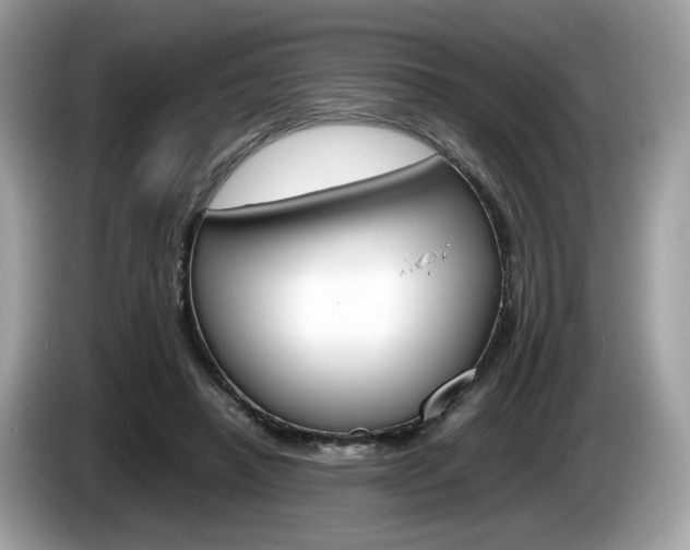 X0000086230450200703290947
